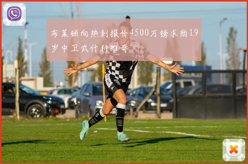 布莱顿向热刺报价4500万镑求购19岁中卫武什科维奇