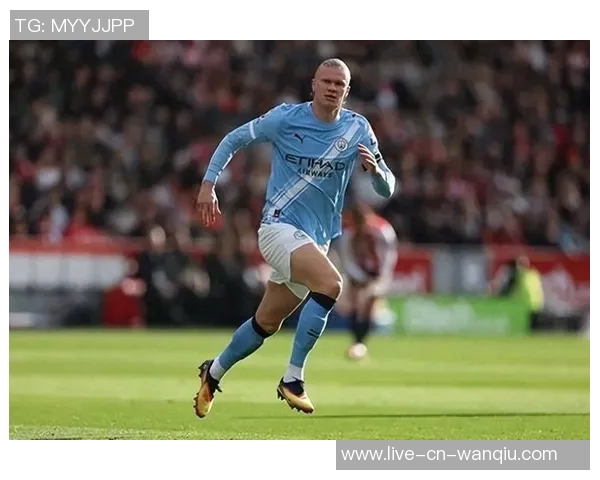 梅里诺世预赛进球贡献率高达36仅次哈兰德41展现大中锋实力